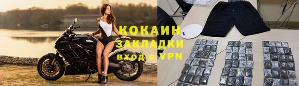 стаф Пестово