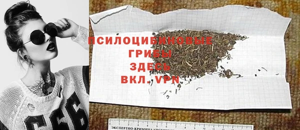 стаф Пестово