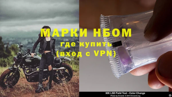 ГАЛЛЮЦИНОГЕННЫЕ ГРИБЫ Переславль-Залесский