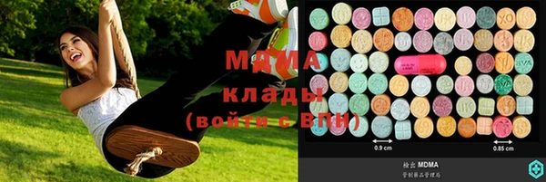 бошки Пересвет
