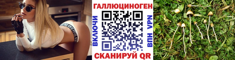 Псилоцибиновые грибы Psilocybine cubensis Саянск